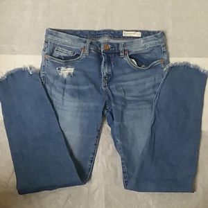 Blank NYC skinny denim classique